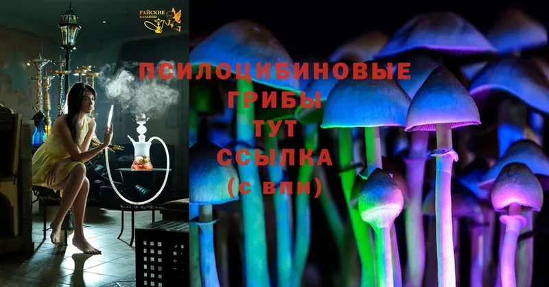 Галлюциногенные грибы MAGIC MUSHROOMS  Орск 