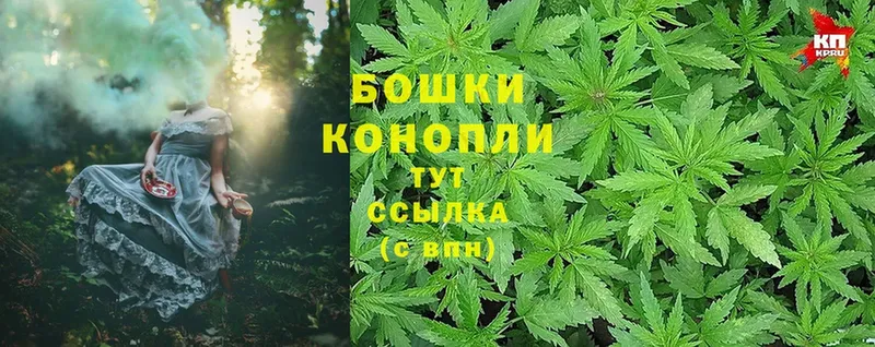 Бошки Шишки White Widow  наркошоп  Орск 